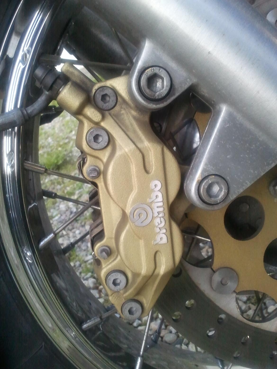 Moto Guzzi California 1100 EV 80 SOLGT - Brembo Calipere billede 13