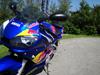 Yamaha yzf r6 redbull [Tidl. motorcykel]