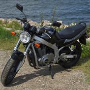 Suzuki GS 500 E