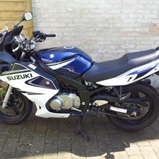 Suzuki GS500F
