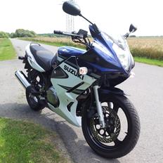 Suzuki GS500F