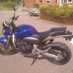 Honda CB 600F Hornet