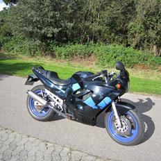 Suzuki GSX 600 F "Katana"