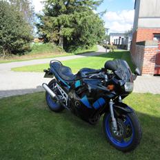 Suzuki GSX 600 F "Katana"