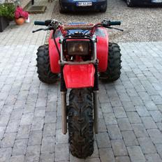 Honda ATC250R