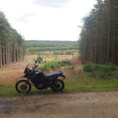 Kawasaki KLE 500
