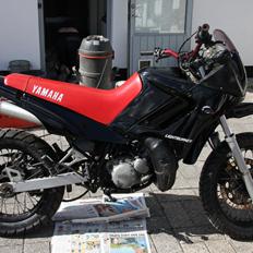 Yamaha tdr 125