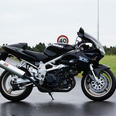 Suzuki TL1000S