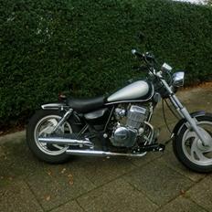 Jinlun 250-5 Bobber (solgt)