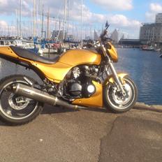 Kawasaki gpz 750 UT Streetfighter