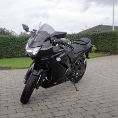 Kawasaki Ninja 250R