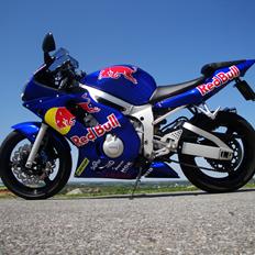 Yamaha yzf r6 redbull