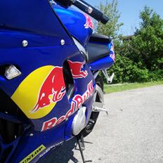 Yamaha yzf r6 redbull