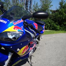 Yamaha yzf r6 redbull
