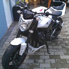 Yamaha FZ1N (Solgt)