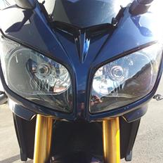 Yamaha FZ 1 Fazer