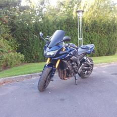 Yamaha FZ 1 Fazer