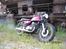 Suzuki T500 T 500 Titan (Sælge)