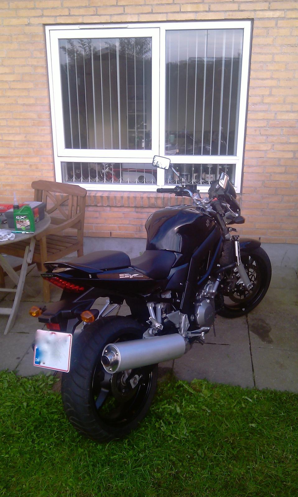 Suzuki SV 1000 N billede 2