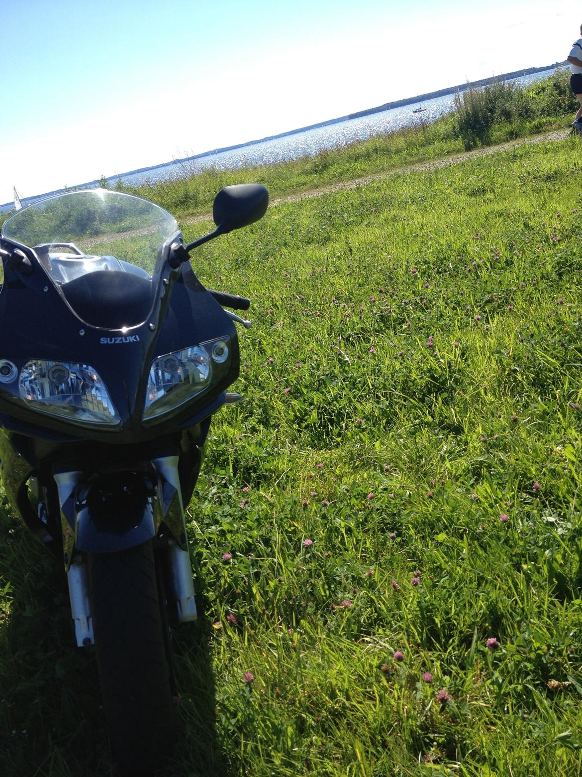 Suzuki Sv 650 billede 6