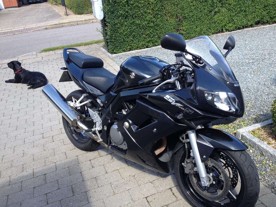 Suzuki Sv 650 billede 8