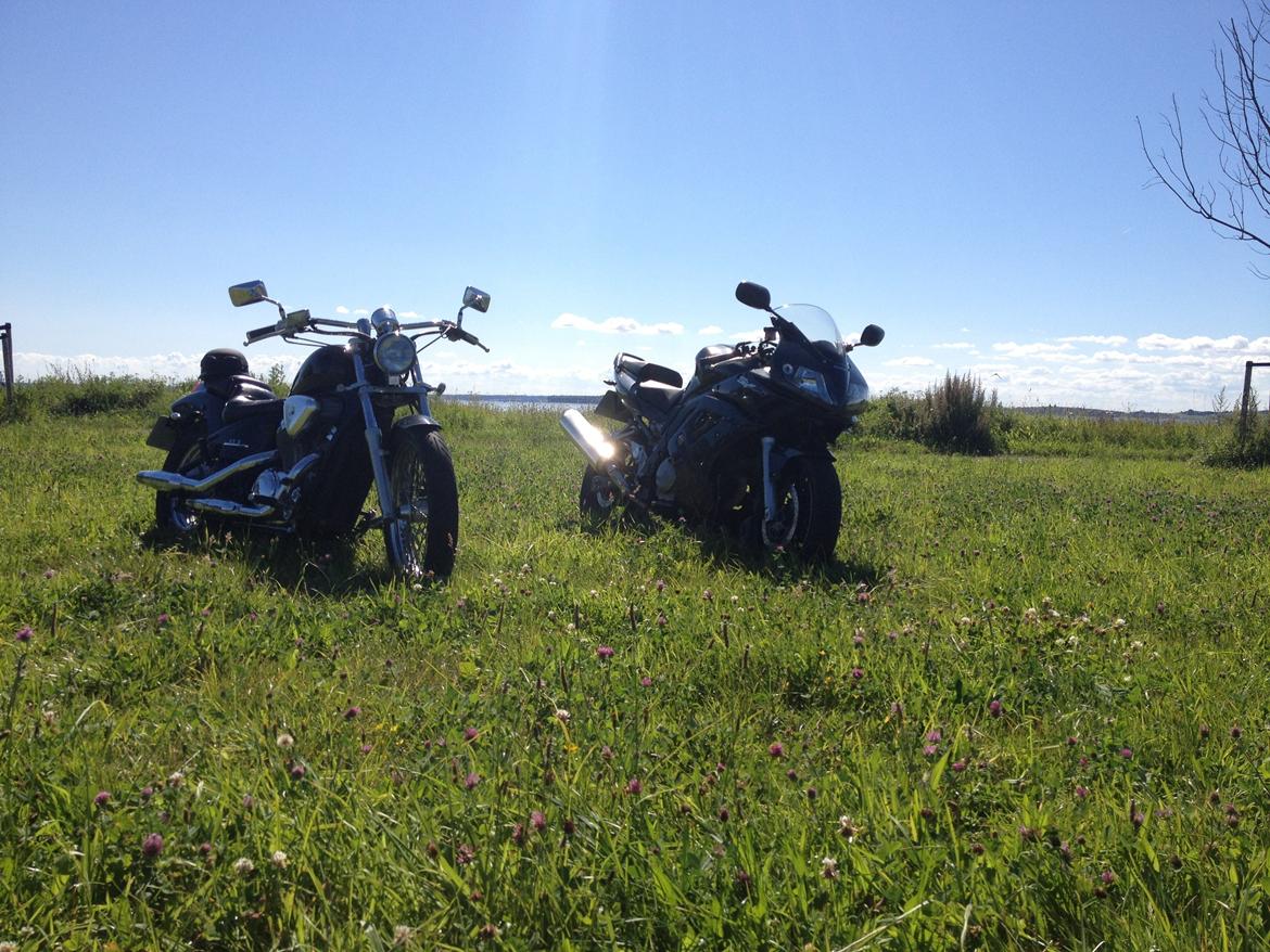 Suzuki Sv 650 billede 13