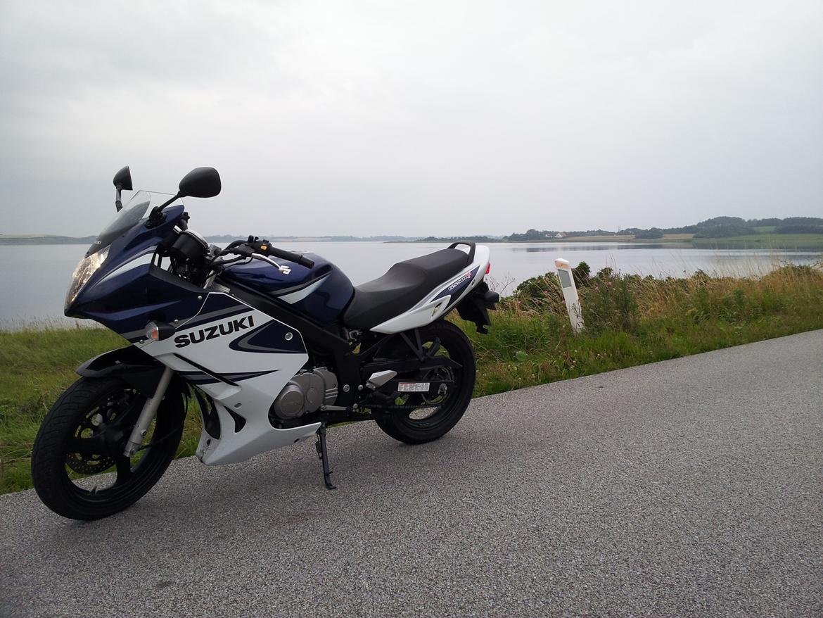 Suzuki GS500F billede 7