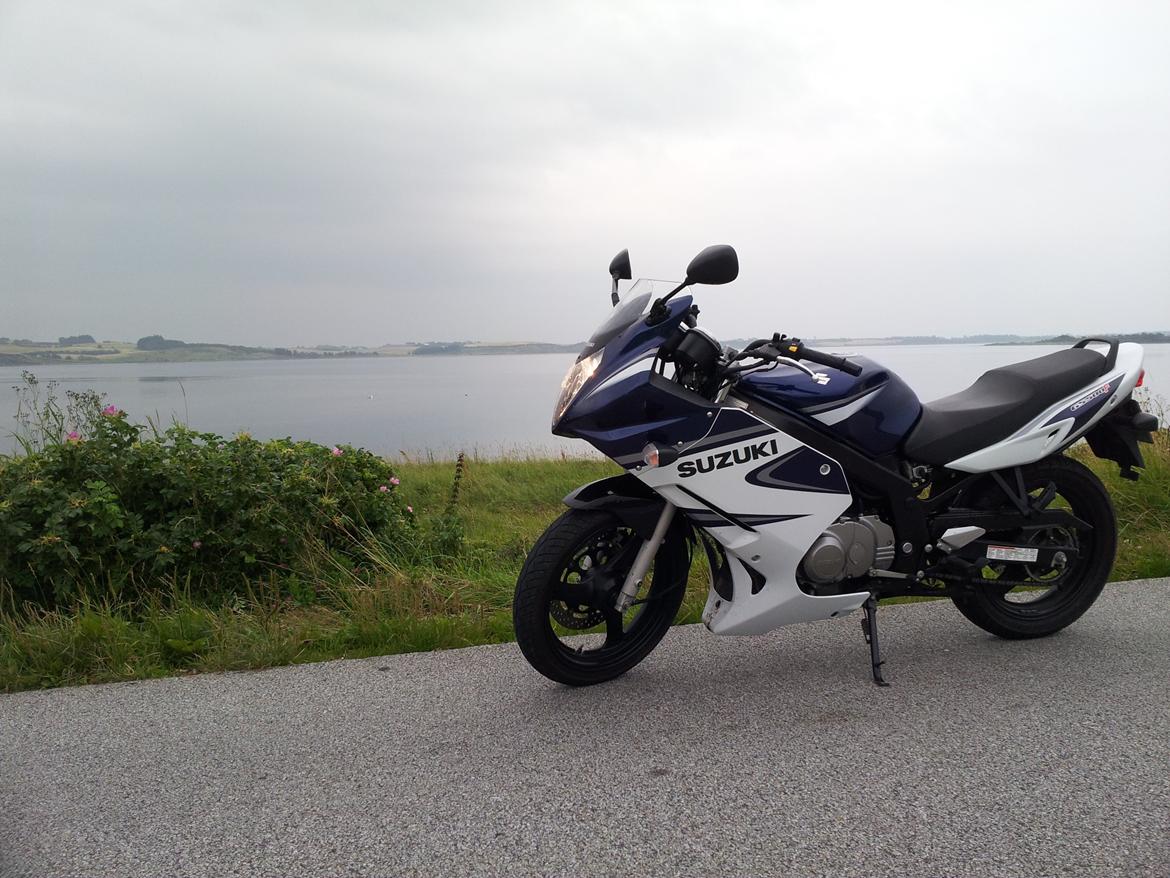 Suzuki GS500F billede 8