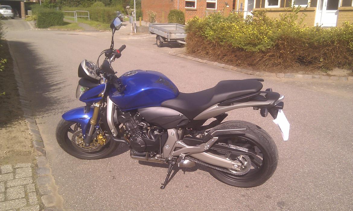 Honda CB 600F Hornet billede 1