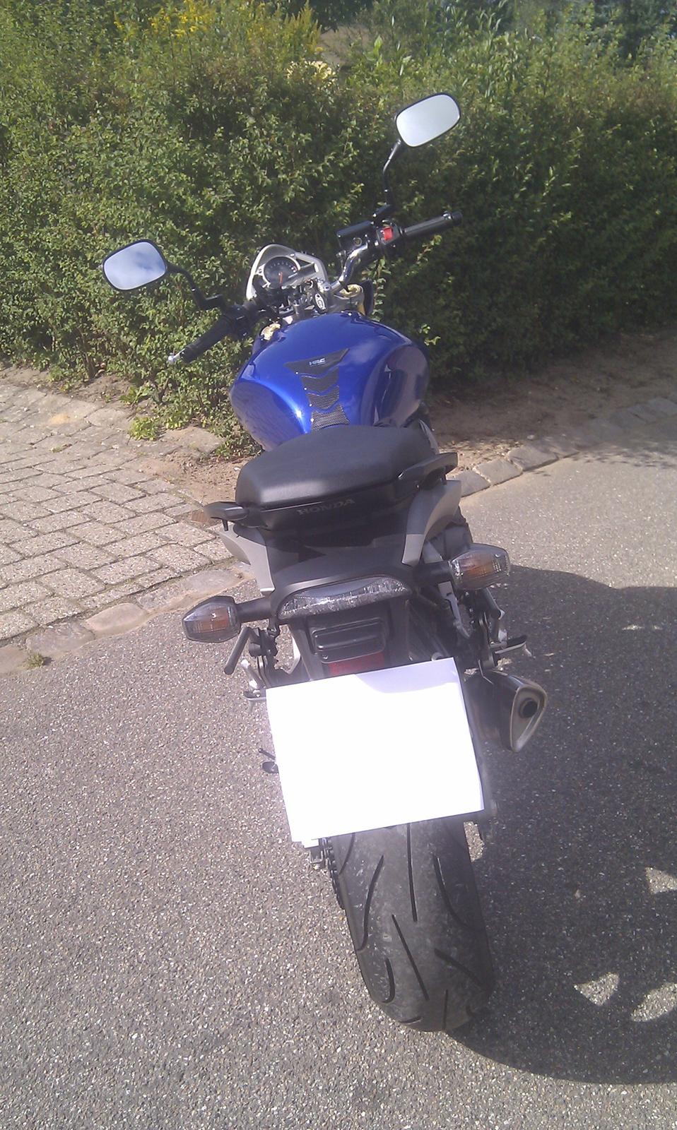 Honda CB 600F Hornet billede 3