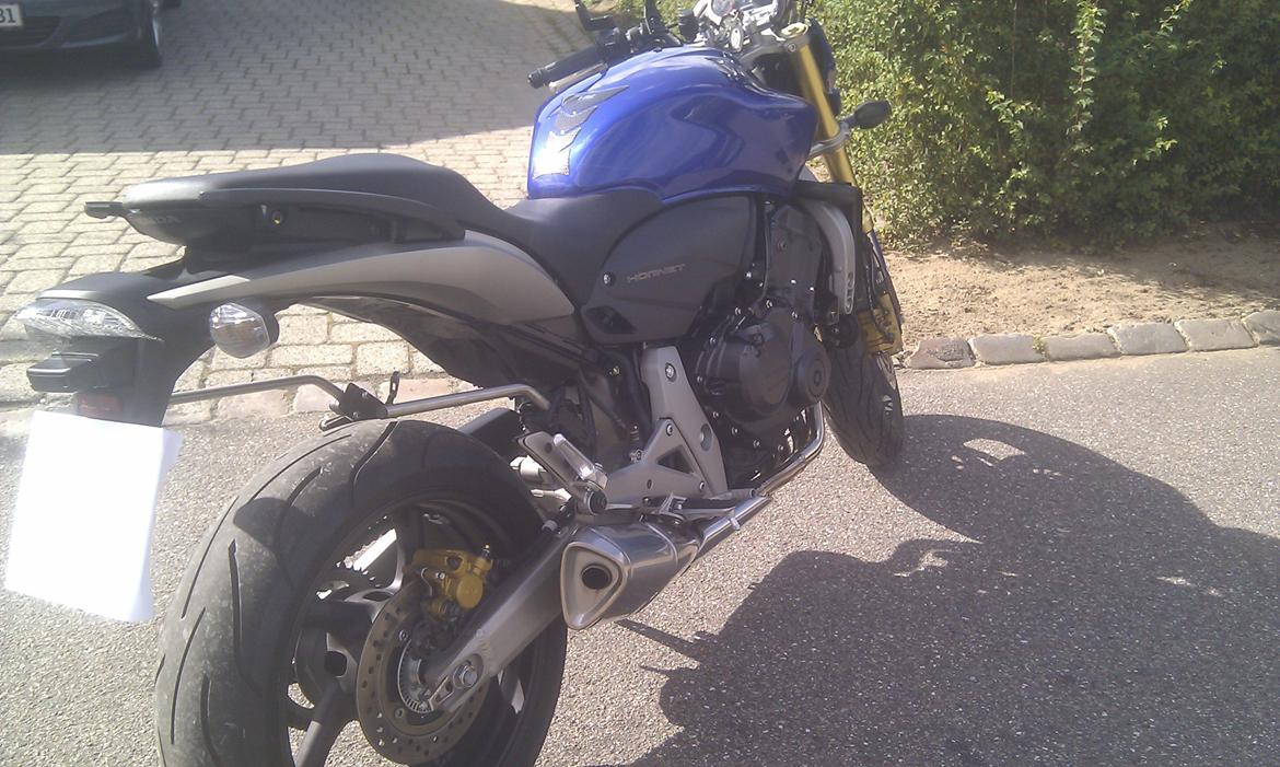 Honda CB 600F Hornet billede 4