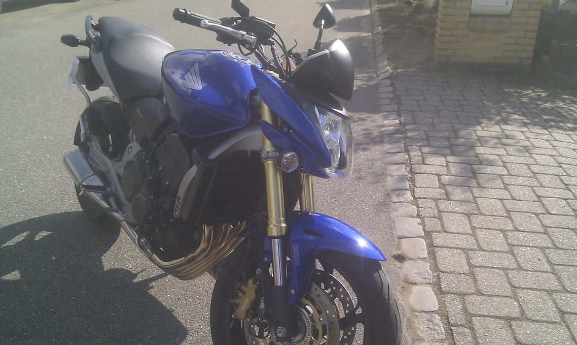 Honda CB 600F Hornet billede 7