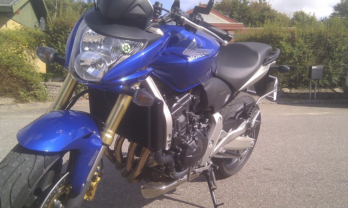 Honda CB 600F Hornet billede 8