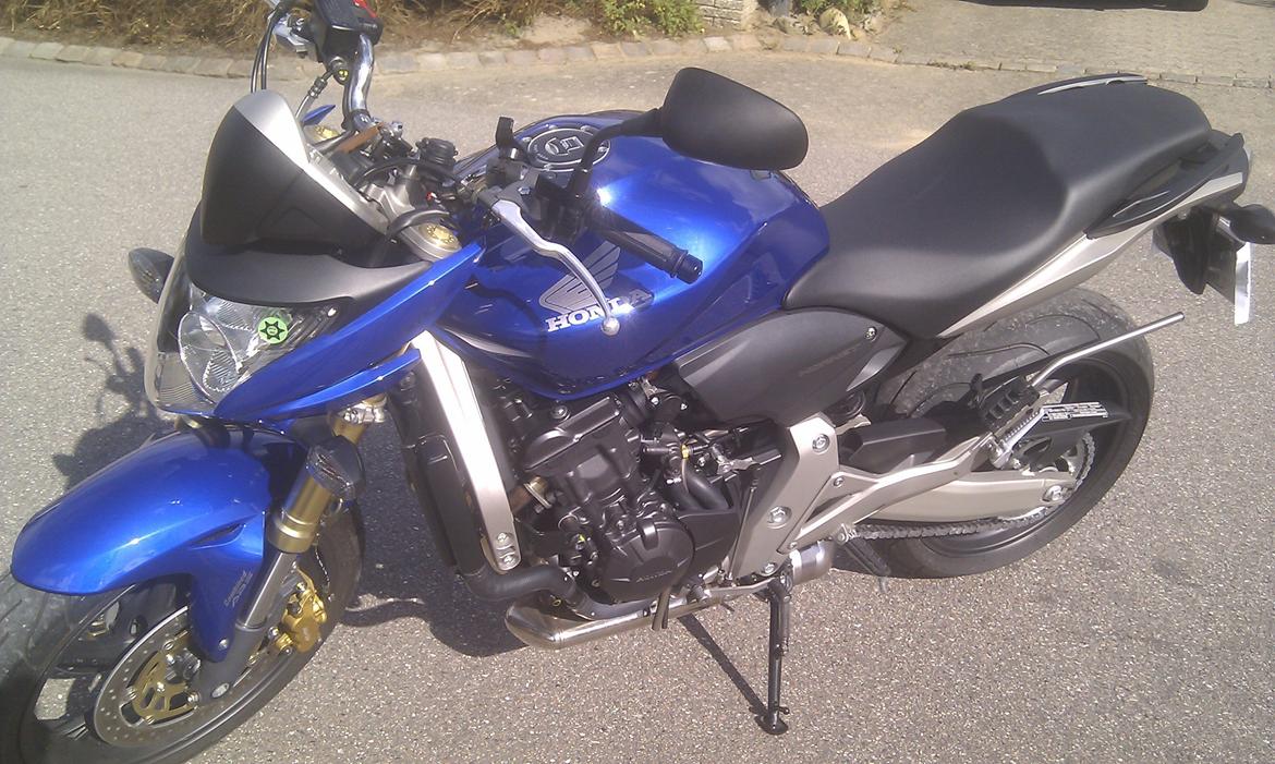 Honda CB 600F Hornet billede 12