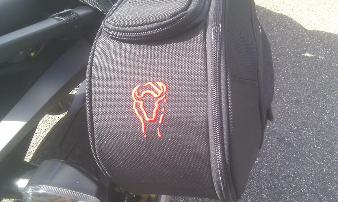 Honda CB 600F Hornet billede 17