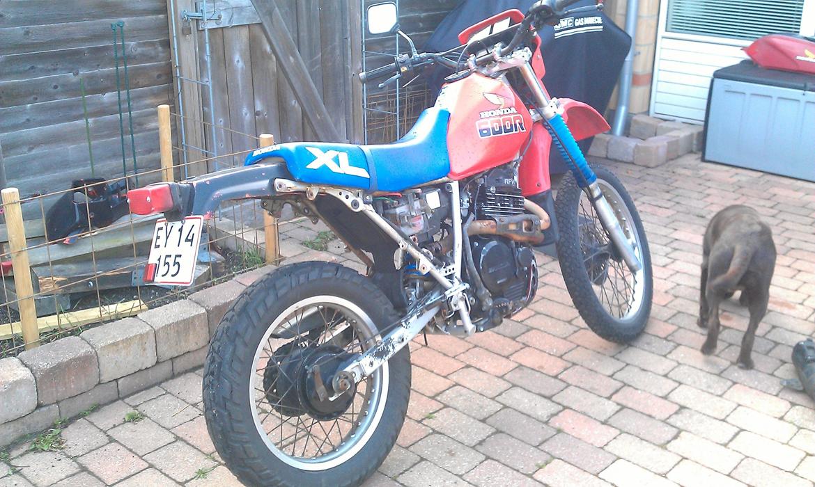 Honda XL600R Street Tracker billede 11