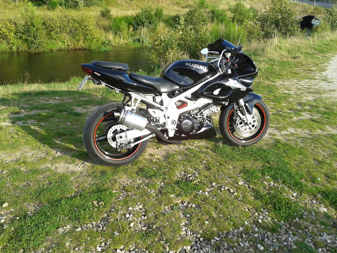 Suzuki TL 1000 S billede 5