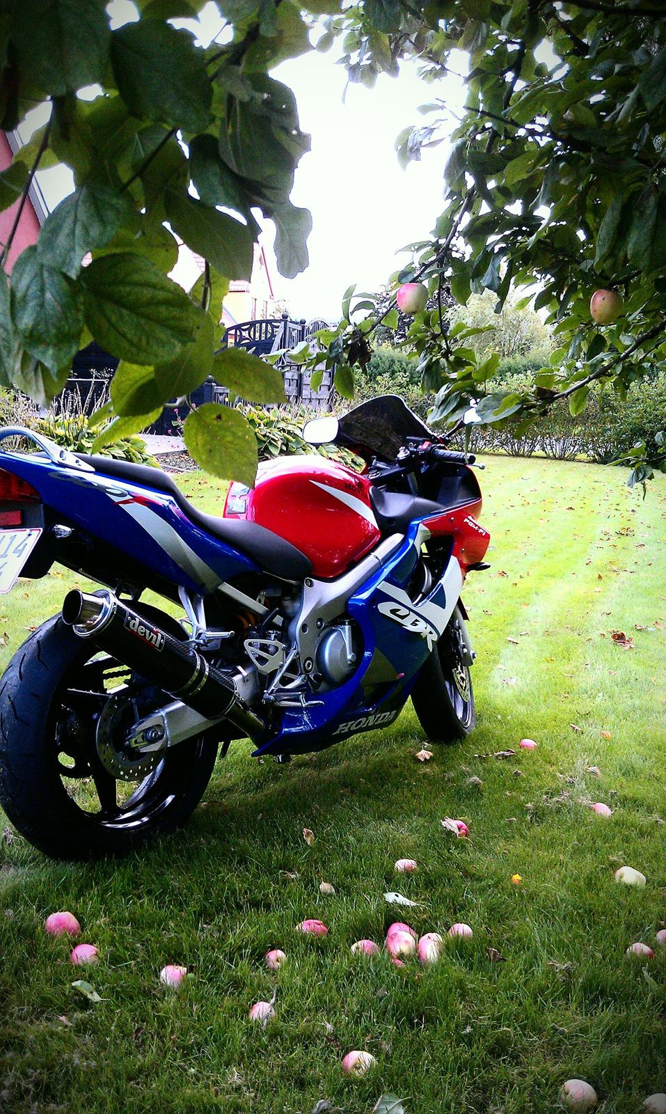 Honda CBR 600 F4 Sport billede 3