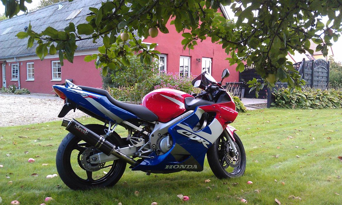 Honda CBR 600 F4 Sport billede 4