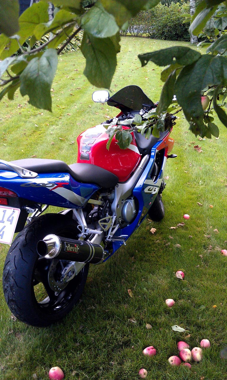 Honda CBR 600 F4 Sport billede 13