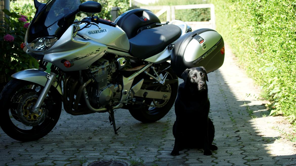 Suzuki GSF600s  Bandit billede 3
