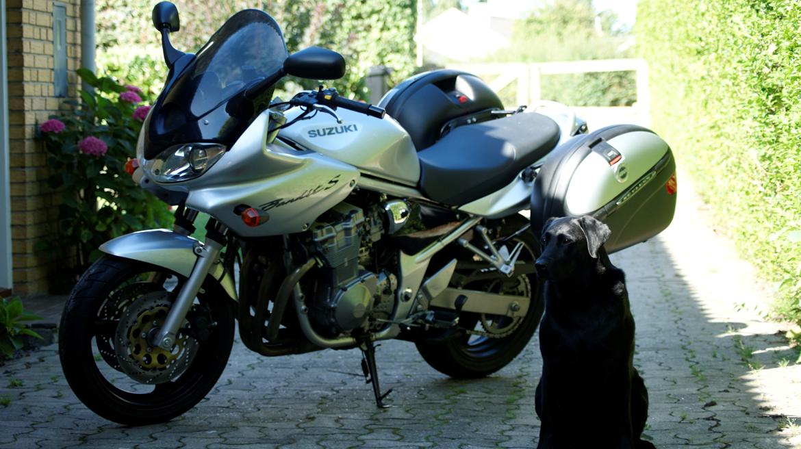 Suzuki GSF600s  Bandit billede 5