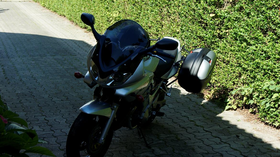 Suzuki GSF600s  Bandit billede 6
