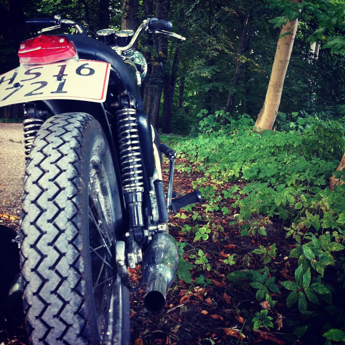 Triumph Bonneville T120R - En tur i skoven ved Kerteminde billede 2