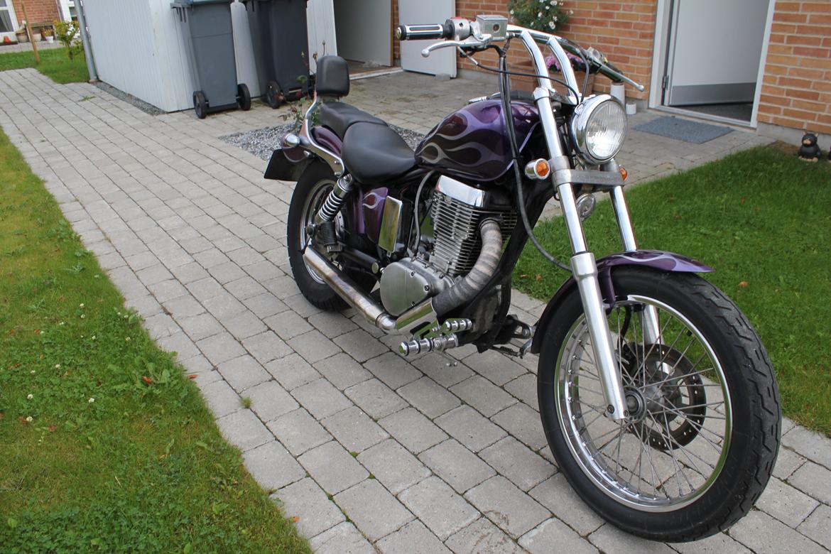 Suzuki LS650 savage billede 1