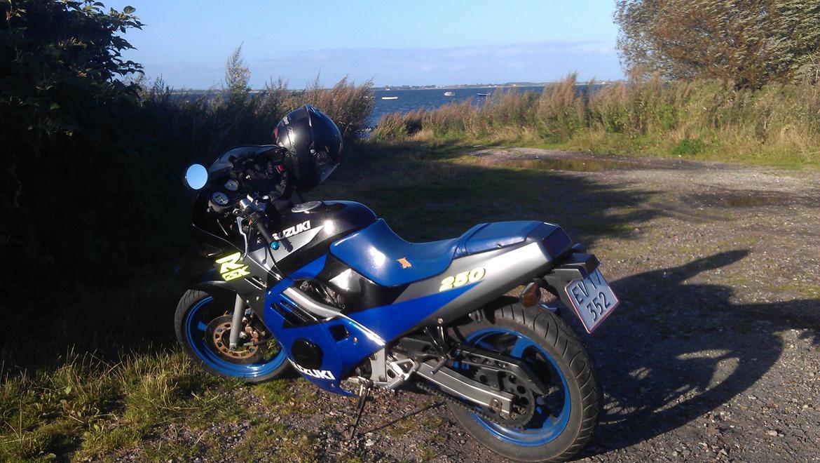 Suzuki gsxr 250 billede 3