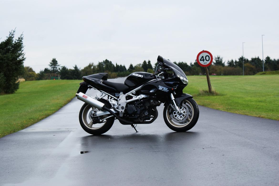 Suzuki TL1000S billede 7