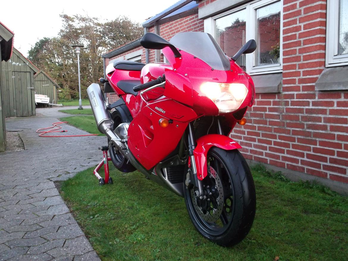 Aprilia RSV 1000 MILLE billede 1