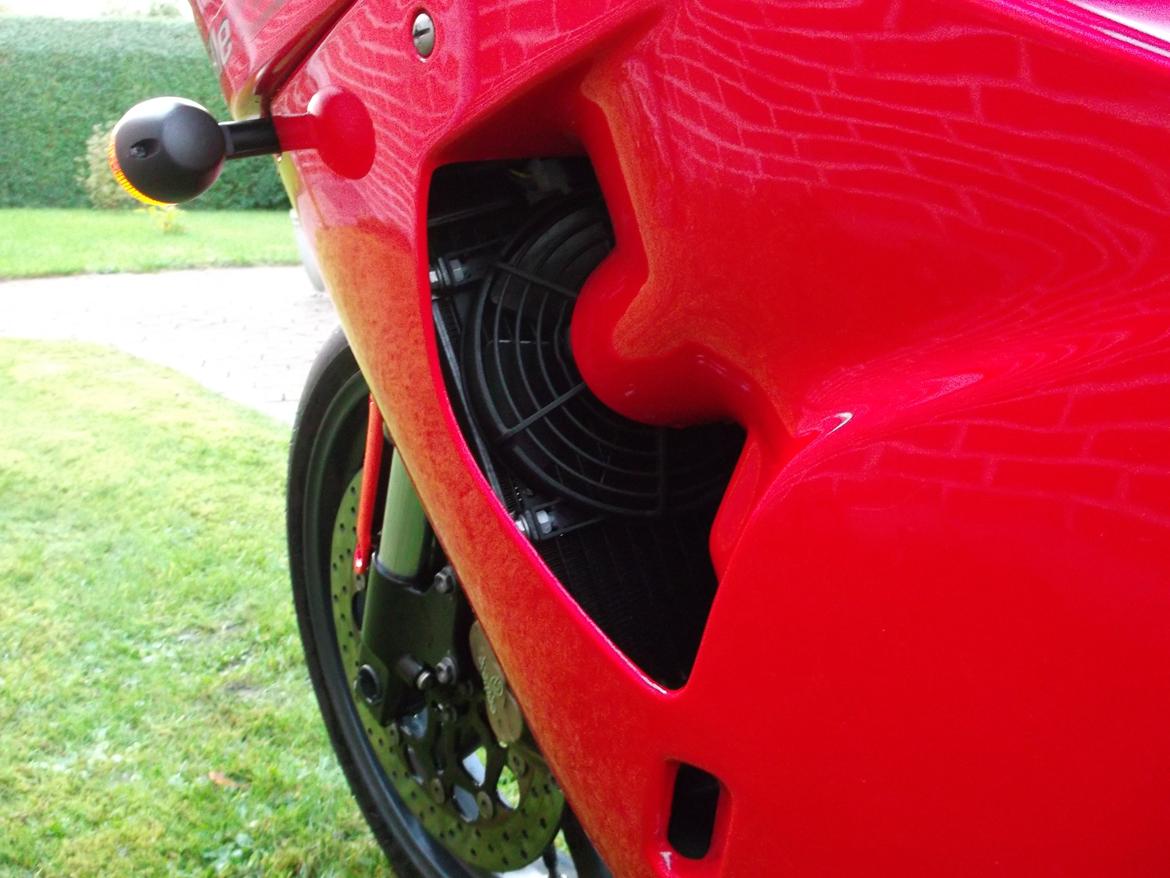 Aprilia RSV 1000 MILLE billede 11