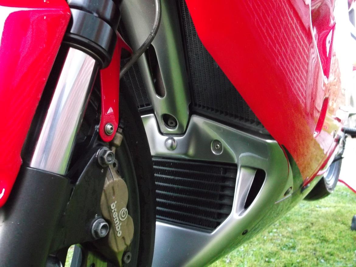 Aprilia RSV 1000 MILLE billede 12